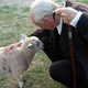 Illustration for article titled Ian McKellen Had a Little Lamb